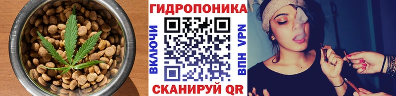 Печенье с ТГК марихуана  магазин продажи наркотиков  Абаза 