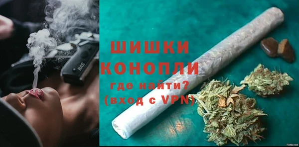 прущие грибы Лихославль