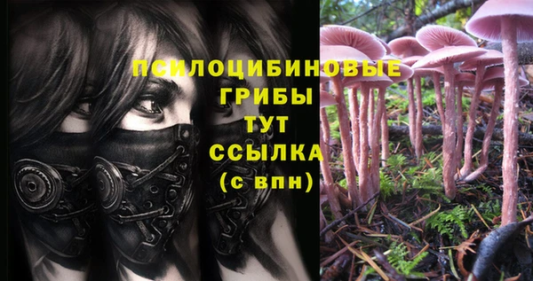 кристаллы Алексеевка