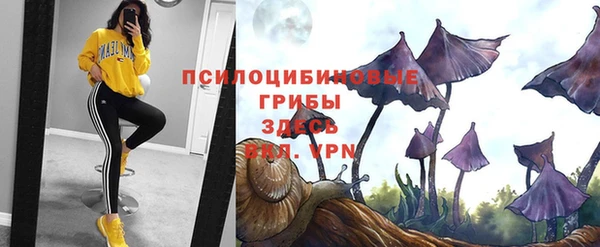 a pvp Абаза