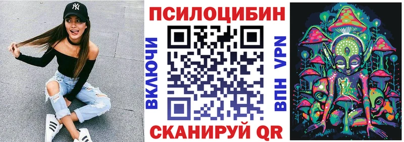 Галлюциногенные грибы Psilocybe Абаза