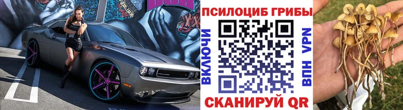hydra онион  Абаза  Псилоцибиновые грибы ЛСД 